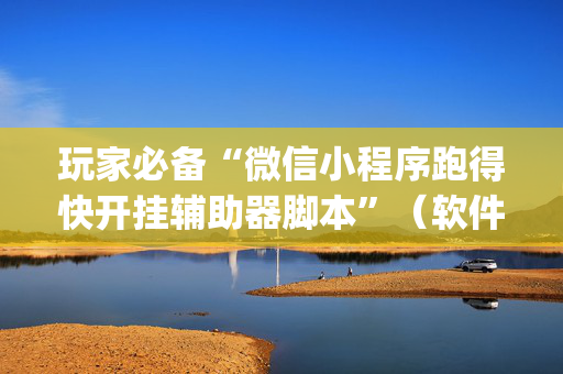 玩家必备“微信小程序跑得快开挂辅助器脚本”（软件出售)