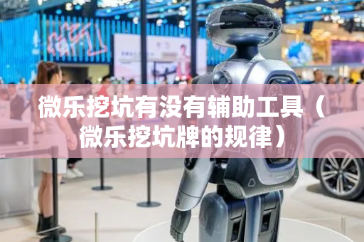 微乐挖坑有没有辅助工具（微乐挖坑牌的规律）