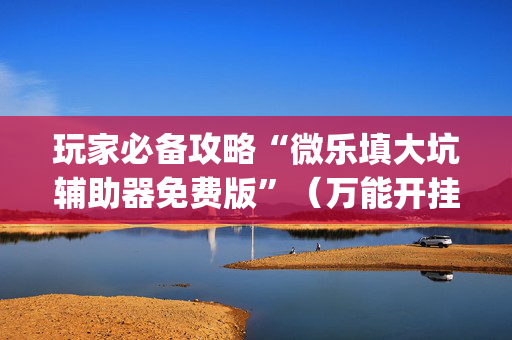 玩家必备攻略“微乐填大坑辅助器免费版”（万能开挂器)
