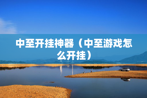 中至开挂神器（中至游戏怎么开挂）
