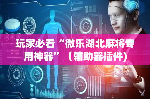 玩家必看“微乐湖北麻将专用神器”（辅助器插件)