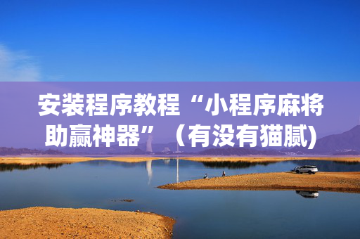 安装程序教程“小程序麻将助赢神器”（有没有猫腻)