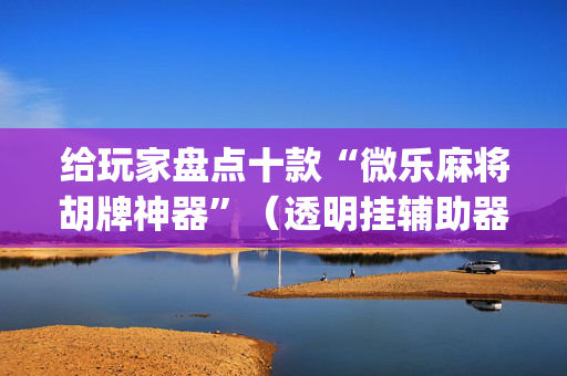 给玩家盘点十款“微乐麻将胡牌神器”（透明挂辅助器)