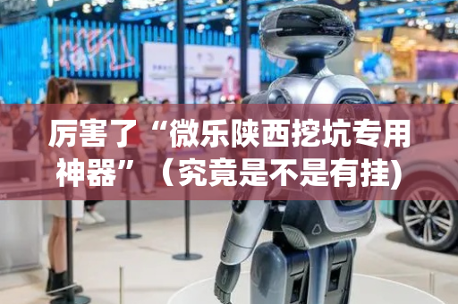 厉害了“微乐陕西挖坑专用神器”（究竟是不是有挂)