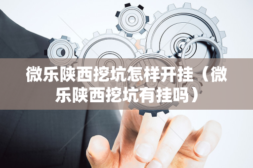微乐陕西挖坑怎样开挂（微乐陕西挖坑有挂吗）