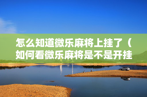 怎么知道微乐麻将上挂了（如何看微乐麻将是不是开挂）