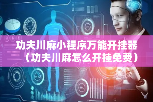 功夫川麻小程序万能开挂器（功夫川麻怎么开挂免费）