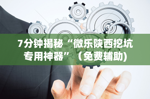 7分钟揭秘“微乐陕西挖坑专用神器”（免费辅助)