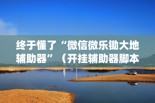 终于懂了“微信微乐锄大地辅助器”（开挂辅助器脚本)