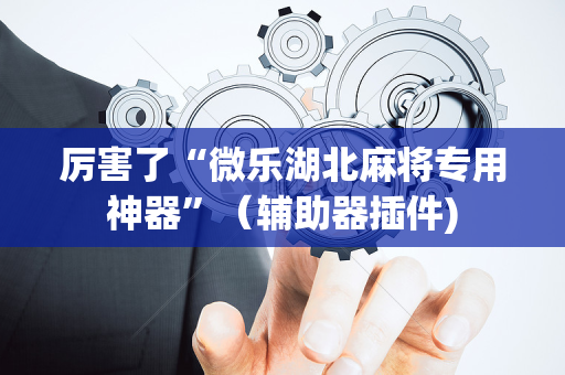 厉害了“微乐湖北麻将专用神器”（辅助器插件)