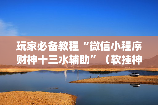 玩家必备教程“微信小程序财神十三水辅助”（软挂神器)