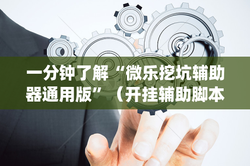 一分钟了解“微乐挖坑辅助器通用版”（开挂辅助脚本)