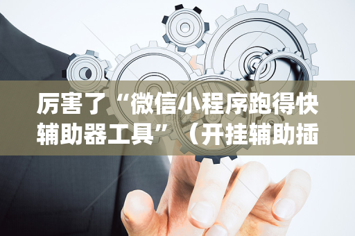厉害了“微信小程序跑得快辅助器工具”（开挂辅助插件)