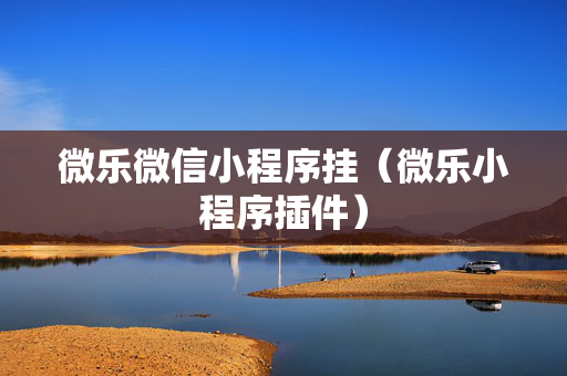 微乐微信小程序挂（微乐小程序插件）
