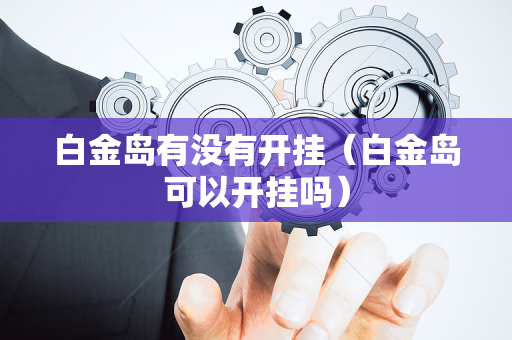 白金岛有没有开挂（白金岛可以开挂吗）
