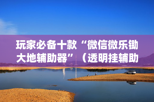 玩家必备十款“微信微乐锄大地辅助器”（透明挂辅助器)