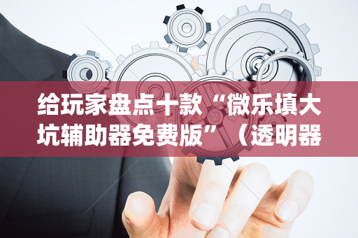 给玩家盘点十款“微乐填大坑辅助器免费版”（透明器教程)