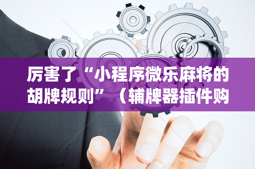 厉害了“小程序微乐麻将的胡牌规则”（辅牌器插件购买)