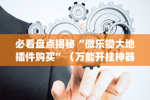 必看盘点揭秘“微乐锄大地插件购买”（万能开挂神器)