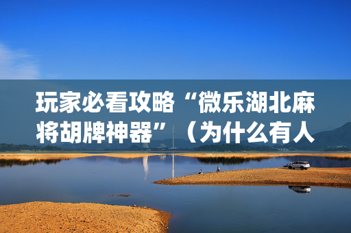 玩家必看攻略“微乐湖北麻将胡牌神器”（为什么有人一直赢)