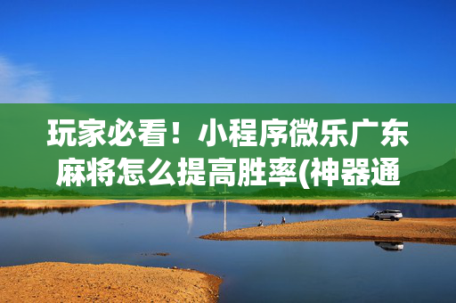 玩家必看！小程序微乐广东麻将怎么提高胜率(神器通用版)