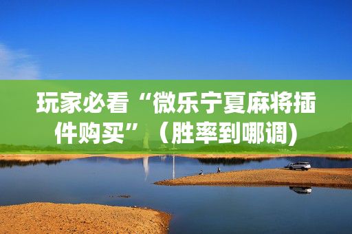 玩家必看“微乐宁夏麻将插件购买”（胜率到哪调)