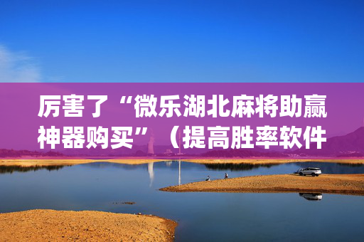 厉害了“微乐湖北麻将助赢神器购买”（提高胜率软件)