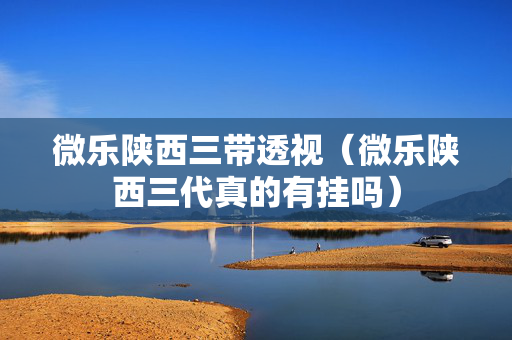 微乐陕西三带透视（微乐陕西三代真的有挂吗）