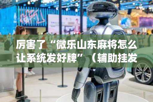 厉害了“微乐山东麻将怎么让系统发好牌”（辅助挂发牌规律)
