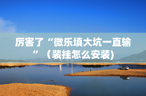 厉害了“微乐填大坑一直输”（装挂怎么安装)