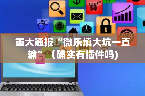 重大通报“微乐填大坑一直输”（确实有插件吗)