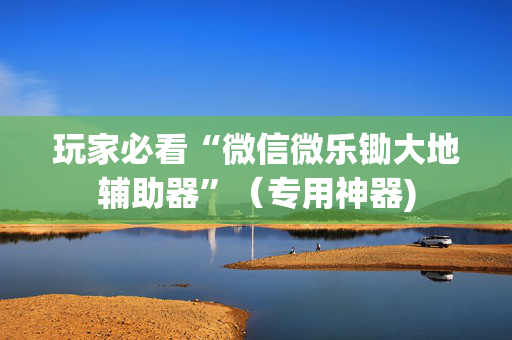 玩家必看“微信微乐锄大地辅助器”（专用神器)