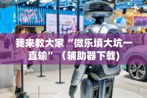 我来教大家“微乐填大坑一直输”（辅助器下载)