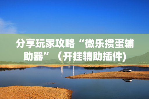 分享玩家攻略“微乐掼蛋辅助器”（开挂辅助插件)