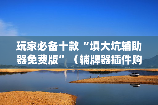 玩家必备十款“填大坑辅助器免费版”（辅牌器插件购买)