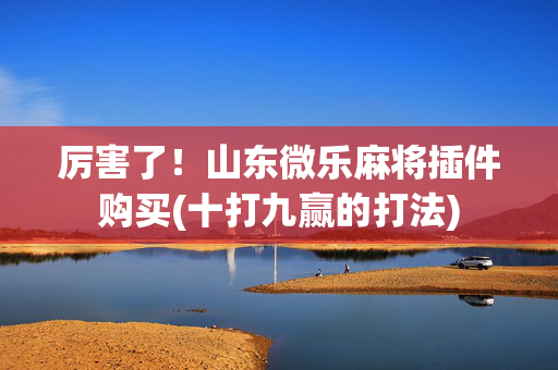 厉害了！山东微乐麻将插件购买(十打九赢的打法)