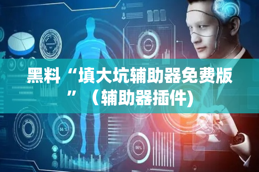 黑料“填大坑辅助器免费版”（辅助器插件)