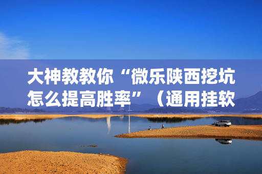 大神教教你“微乐陕西挖坑怎么提高胜率”（通用挂软件多少钱)