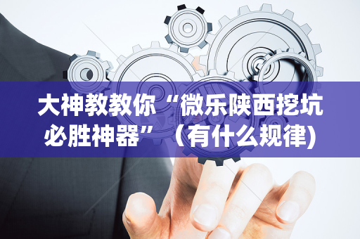 大神教教你“微乐陕西挖坑必胜神器”（有什么规律)