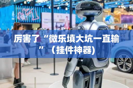 厉害了“微乐填大坑一直输”（挂件神器)