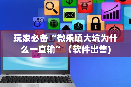 玩家必备“微乐填大坑为什么一直输”（软件出售)