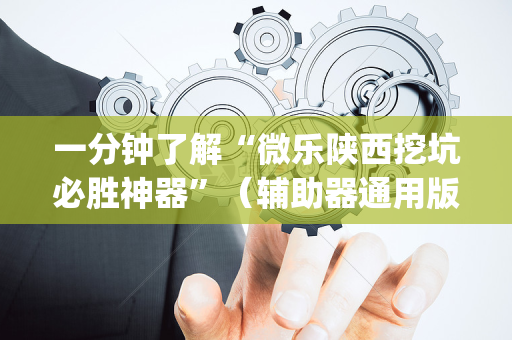 一分钟了解“微乐陕西挖坑必胜神器”（辅助器通用版)