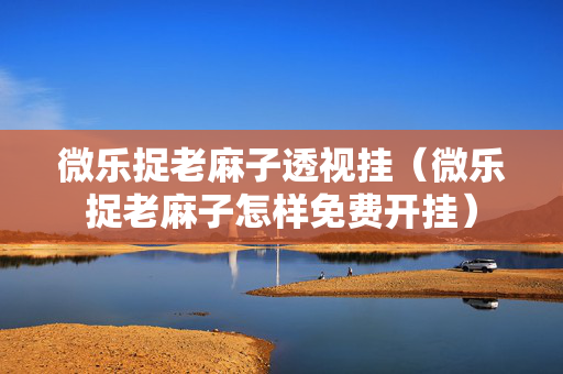 微乐捉老麻子透视挂（微乐捉老麻子怎样免费开挂）
