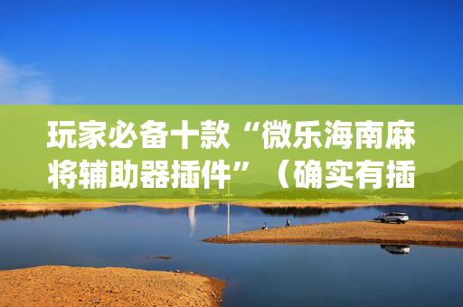 玩家必备十款“微乐海南麻将辅助器插件”（确实有插件吗)