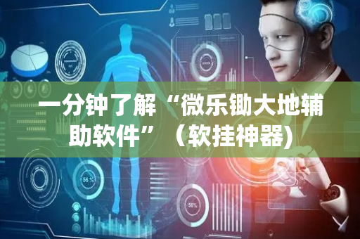 一分钟了解“微乐锄大地辅助软件”（软挂神器)