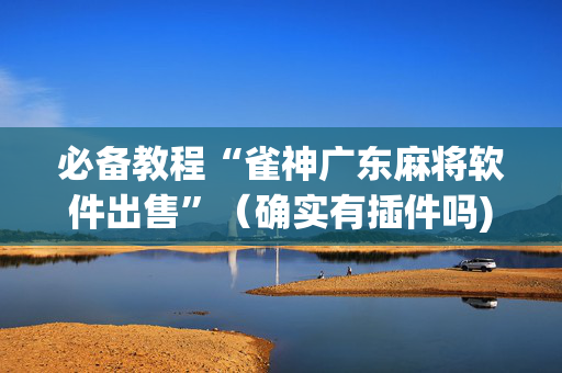 必备教程“雀神广东麻将软件出售”（确实有插件吗)