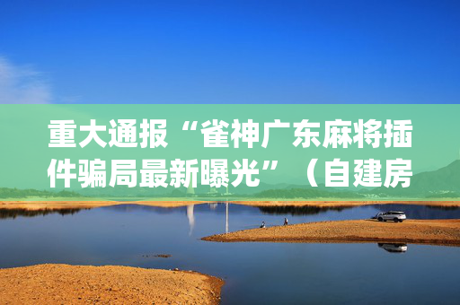 重大通报“雀神广东麻将插件骗局最新曝光”（自建房怎么拿好牌)