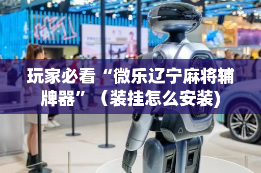 玩家必看“微乐辽宁麻将辅牌器”（装挂怎么安装)