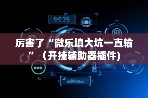 厉害了“微乐填大坑一直输”（开挂辅助器插件)