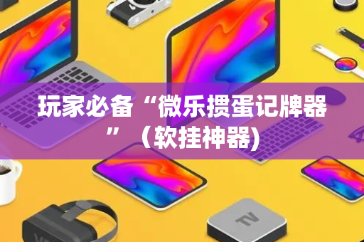 玩家必备“微乐掼蛋记牌器”（软挂神器)